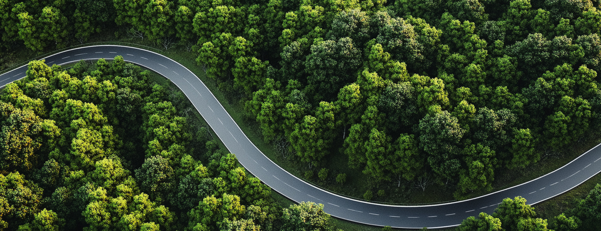 中国·88858cc永利(股份)有限公司-官方网站